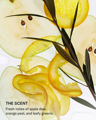 SEEN Conditioner